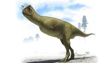 Découverte D'un Dinosaure Qui Avait Des "bras" Plus Petits Que