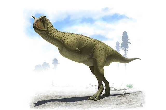 Découverte d'un dinosaure qui avait des "bras" plus petits que ceux du T. rex, mais qui était mortel 1 Découverte D'un Dinosaure Qui Avait Des "bras" Plus Petits Que