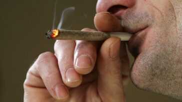 Fumer Des Joints Est Mauvais Pour Les Poumons, Mais D'une