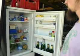 Il Mange Les Restes De Nourriture Du Frigo : Un