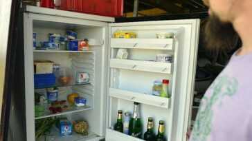 Il Mange Les Restes De Nourriture Du Frigo : Un