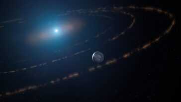 Il Y A Une Planète Dans La Zone Habitable D'une