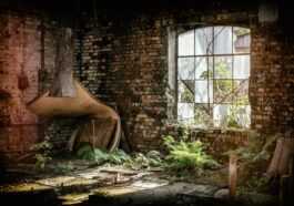 L'adaptation De La Série "the Last Of Us" De Hbo