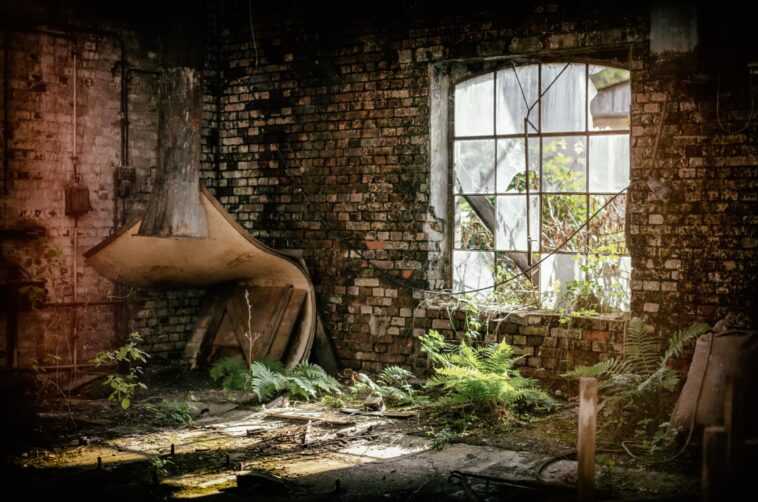 L'adaptation de la série "The Last of Us" de HBO ne sera pas diffusée en 2022 1 L'adaptation De La Série "the Last Of Us" De Hbo