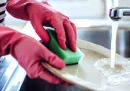 Les éponges De Cuisine Font Mieux Pousser Les Bactéries Que