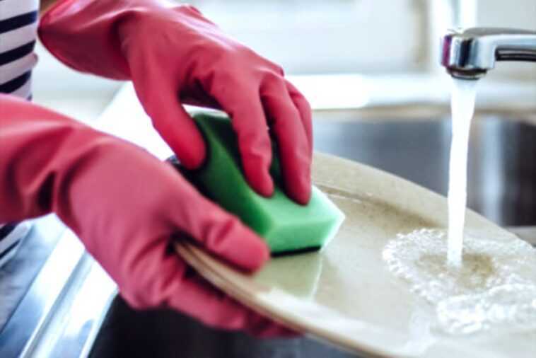 Les éponges de cuisine font mieux pousser les bactéries que les assiettes de laboratoire 1 Les éponges De Cuisine Font Mieux Pousser Les Bactéries Que