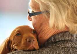 Les Personnes âgées Avec Un Chien Ont Deux Fois Moins
