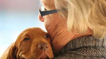 Les Personnes âgées Avec Un Chien Ont Deux Fois Moins