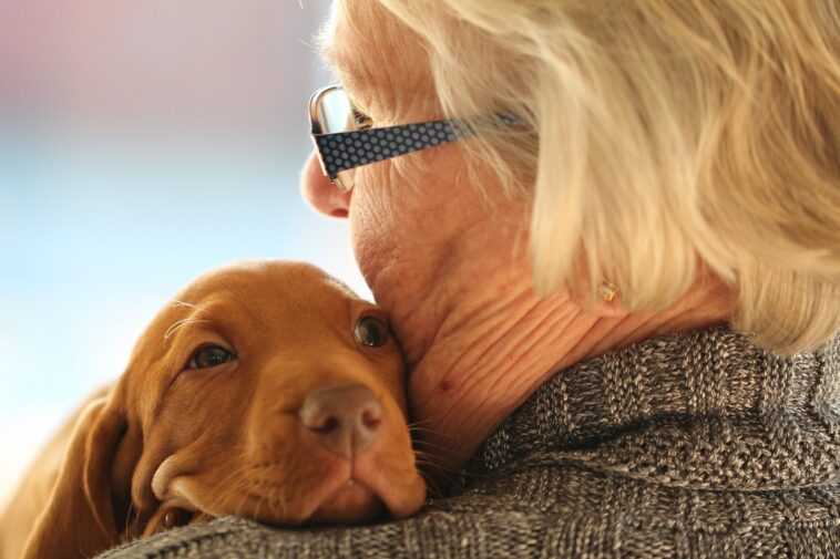 Les personnes âgées avec un chien ont deux fois moins de risques d'être handicapées (mais les chats n'aident pas) 1 Les Personnes âgées Avec Un Chien Ont Deux Fois Moins