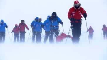L'invasion Des Touristes Fait Fondre La Neige De L'antarctique :