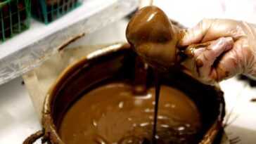 Maintenant, Nous Savons Comment Rendre Le Chocolat Plus Sucré Sans