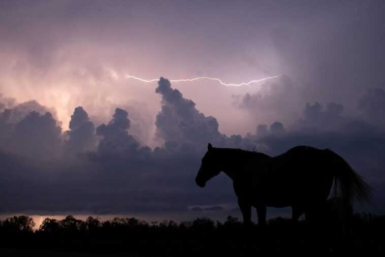 Peut-être avons-nous trouvé un moyen naturel de libérer la pluie 1 Peut être Avons Nous Trouvé Un Moyen Naturel De Libérer La Pluie