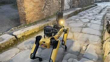 Le Chien Robot Spot Patrouillera Dans Les Rues Et Les