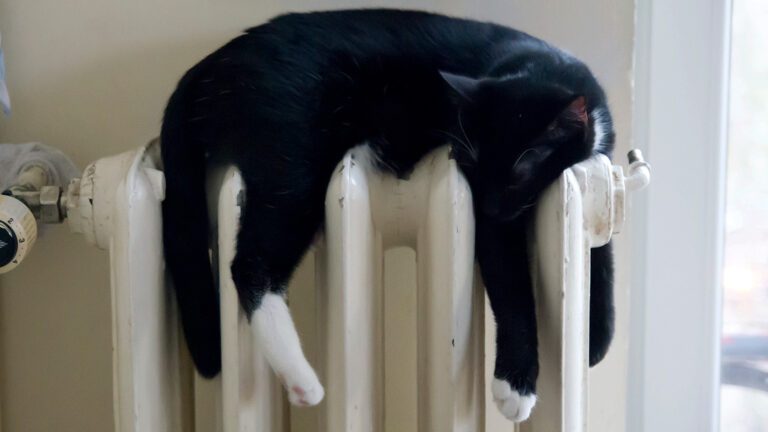 1648650253 146 Reduire les couts de chauffage economiser de lenergie cest ainsi