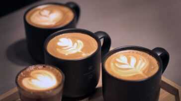 Boire deux à trois tasses de café par jour est bon pour le cœur 15 Boire Deux à Trois Tasses De Café Par Jour Est