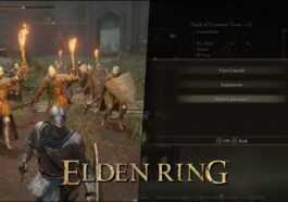 Comment Mettre En Pause Elden Ring Sans Mods : L'option