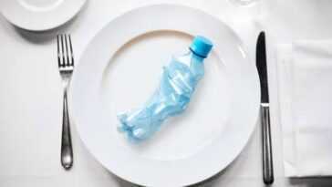 Des microplastiques retrouvés dans le sang de deux personnes sur trois : l'alarme des scientifiques 1 Des Microplastiques Retrouvés Dans Le Sang De Deux Personnes Sur