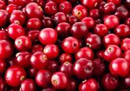 La Consommation Quotidienne De Ces Fruits Rouges Améliore La Santé