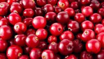 La consommation quotidienne de ces fruits rouges améliore la santé cardiaque 10 La Consommation Quotidienne De Ces Fruits Rouges Améliore La Santé