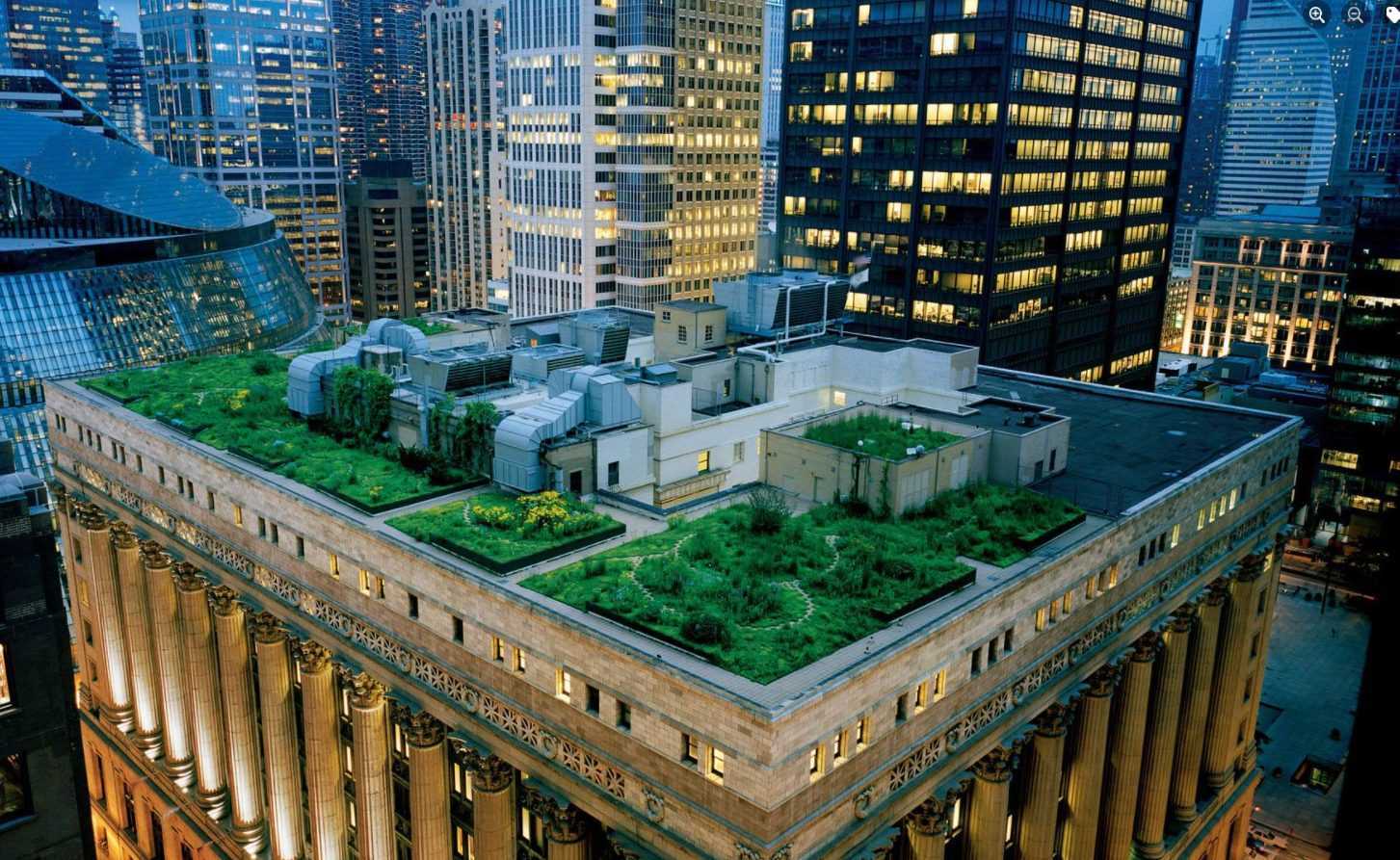 Les pelouses et les jardins sur les toits peuvent aider à réduire la chaleur dans la ville 11 Les Pelouses Et Les Jardins Sur Les Toits Peuvent Aider