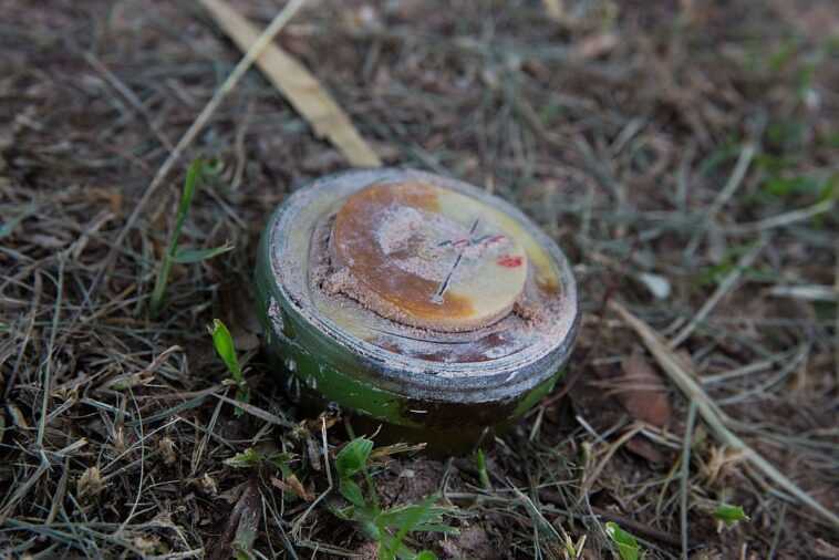 Que sont et comment fonctionnent-elles les mines antipersonnel, des engins également utilisés pendant la guerre en Ukraine 1 Que Sont Et Comment Fonctionnent Elles Les Mines Antipersonnel, Des Engins