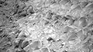 Sur Mars, il y a un terrain étrange qui ressemble au dos d'un alligator : les clichés de Curiosity 3 Sur Mars, Il Y A Un Terrain étrange Qui Ressemble