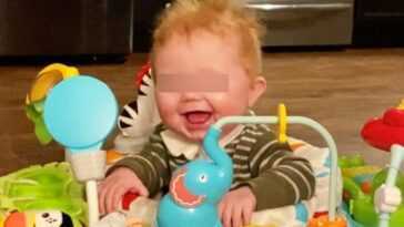 Un enfant subissant une transplantation cardiaque révolutionnaire pourrait se passer de médicaments anti-rejet 14 Un Enfant Subissant Une Transplantation Cardiaque Révolutionnaire Pourrait Se Passer