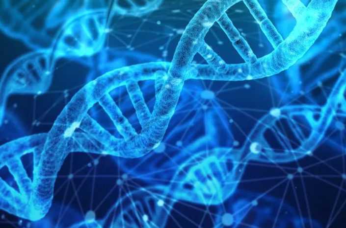 Un gène semble pouvoir prévenir la maladie de Parkinson 1 Un Gène Semble Pouvoir Prévenir La Maladie De Parkinson