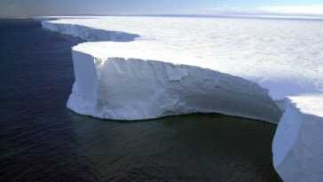 Une banquise de la taille de Rome s'effondre en Antarctique en raison de températures extrêmes 20 Une Banquise De La Taille De Rome S'effondre En Antarctique