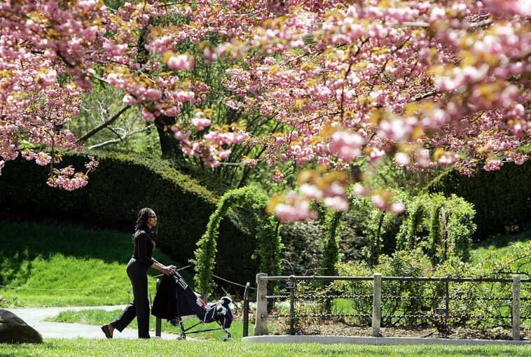 Vivre à proximité d'espaces verts réduit le risque d'AVC ischémique 1 Vivre à Proximité D'espaces Verts Réduit Le Risque D'avc Ischémique