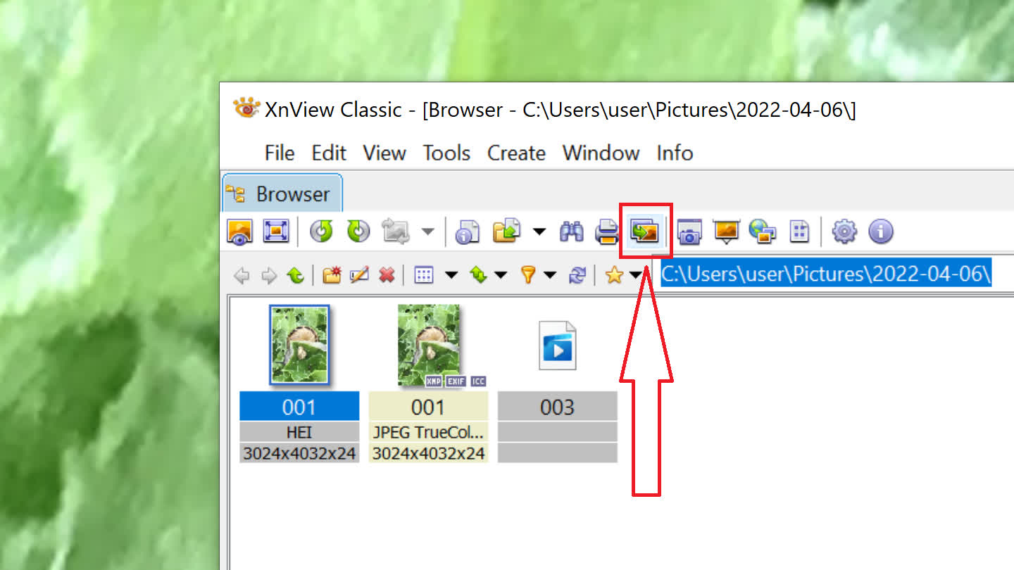 1650885609 481 Comment ouvrir des photos iPhone HEIC sous Windows