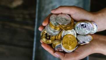 La République centrafricaine suit El Salvador en faisant du Bitcoin une monnaie officielle 3 La République Centrafricaine Suit El Salvador En Faisant Du Bitcoin
