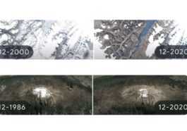 Le Doodle Du Jour De La Terre De Google Montre