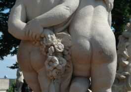 Parce Que L'être Humain A Les Plus Grosses Fesses Du