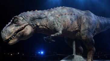 Pourquoi le tyrannosaure avait-il des "bras courts" 28 Pourquoi Le Tyrannosaure Avait Il Des "bras Courts"