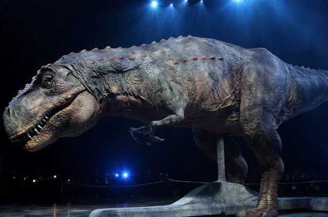 Pourquoi le tyrannosaure avait-il des "bras courts" 1 Pourquoi Le Tyrannosaure Avait Il Des "bras Courts"