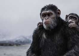 La Planète Des Singes : Comment Regarder Toute La Saga
