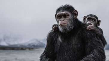 La Planète Des Singes : Comment Regarder Toute La Saga