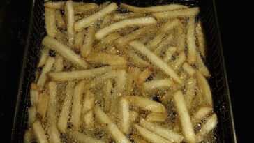 Ainsi l'huile de friture est convertie en carburéacteur 12 Ainsi L'huile De Friture Est Convertie En Carburéacteur