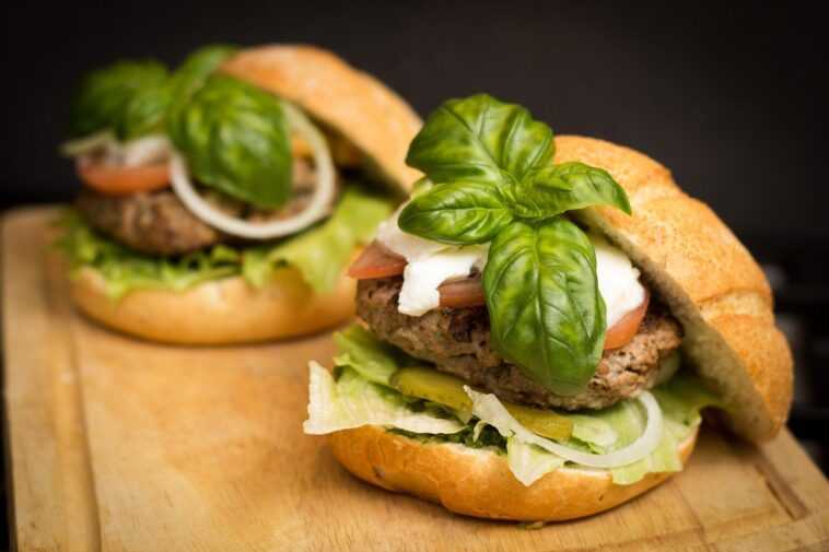 Ces hamburgers à base de protéines microbiennes réduisent de moitié la déforestation et réduisent le CO2 1 Ces Hamburgers à Base De Protéines Microbiennes Réduisent De Moitié