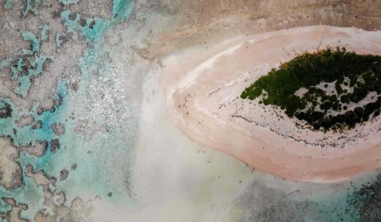 Dans le Pacifique il y a une île où une personne sur dix ne voit qu'en noir et blanc 1 Dans Le Pacifique Il Y A Une île Où Une