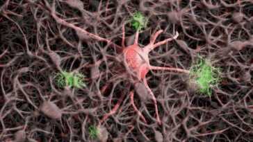 Découvert quels neurones sont tués par la maladie de Parkinson : thérapies révolutionnaires possibles 15 Découvert Quels Neurones Sont Tués Par La Maladie De Parkinson