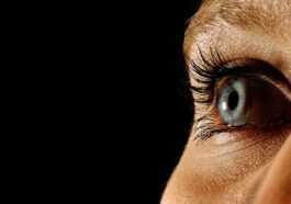 Des scientifiques font revivre des cellules oculaires humaines après leur mort 9 Des Scientifiques Font Revivre Des Cellules Oculaires Humaines Après Leur