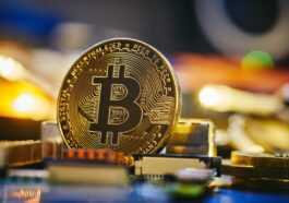 Le Pdg De L'échange De Crypto Monnaie Ftx Estime Que Bitcoin