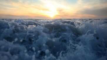 Les océans commencent à perdre la mémoire : "Symptôme du réchauffement climatique" 4 Les Océans Commencent à Perdre La Mémoire : "symptôme Du