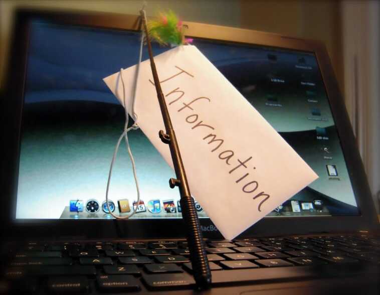 Une étude affirme que jusqu'à 75 % des sites Web de phishing passent les défenses de Chrome 1 Une étude Affirme Que Jusqu'à 75 % Des Sites Web De