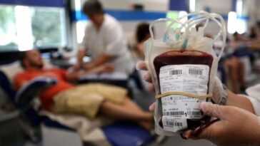 Un nouveau médicament réduit de 50 % le besoin de transfusions chez les patients atteints de bêta-thalassémie 8 Un Nouveau Médicament Réduit De 50 % Le Besoin De