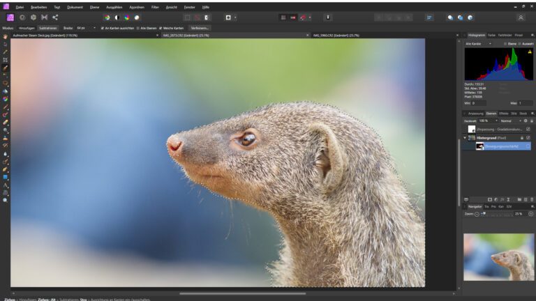 Affinity Photo : Comment recadrer des objets 4 1655466491 453 Affinity Photo Comment recadrer des objets