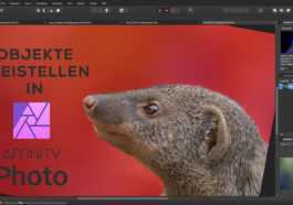 Affinity Photo : Comment Recadrer Des Objets