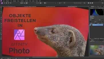 Affinity Photo : Comment Recadrer Des Objets